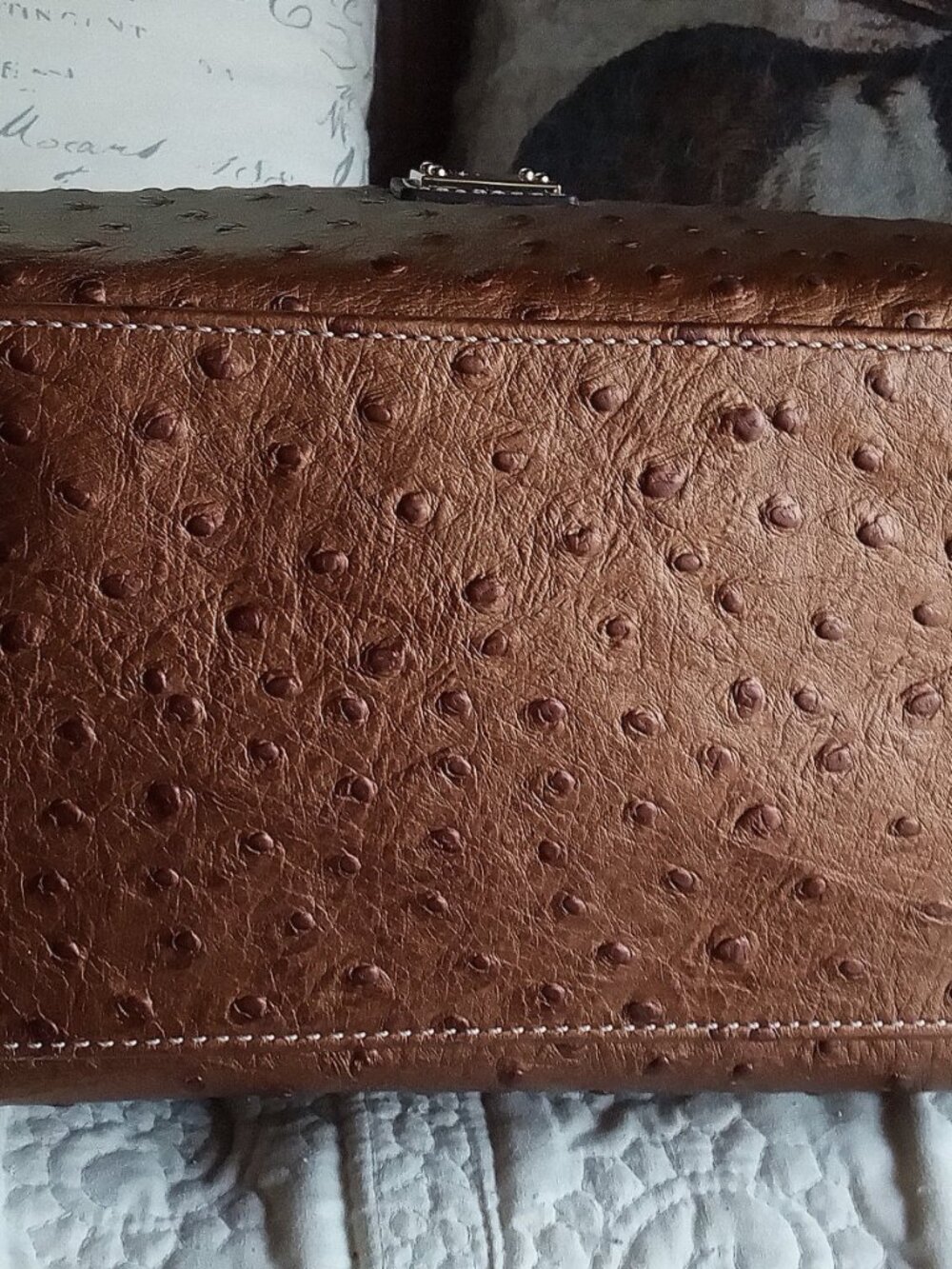 Dooney & Bourke Ostrich Collection Brown Metallic Leather Shoulder Bag - Picture 8 of 11